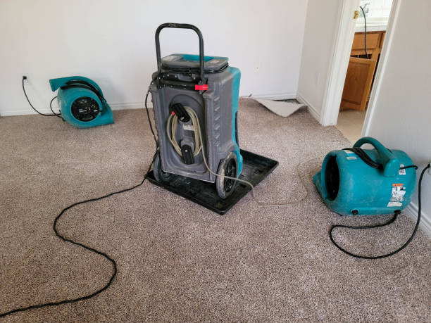 Reliable Cle Elum, WA Water damage restoration Solutions