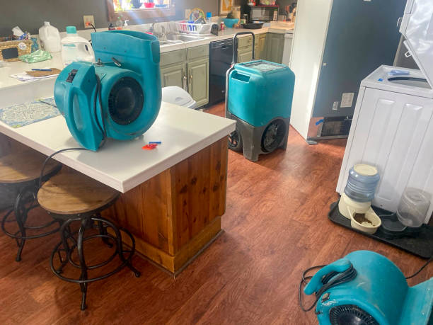 Best Ceiling water damage repair  in Cle Elum, WA