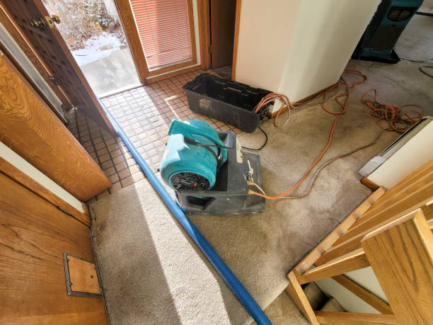 Best Local water damage restoration  in Cle Elum, WA