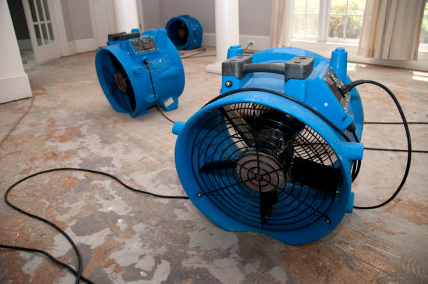 Best Local water damage restoration  in Cle Elum, WA