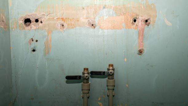  Cle Elum, WA Water damage restoration Pros