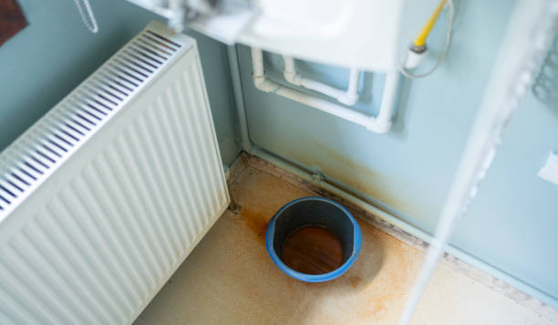 Best Mold removal after water damage  in Cle Elum, WA