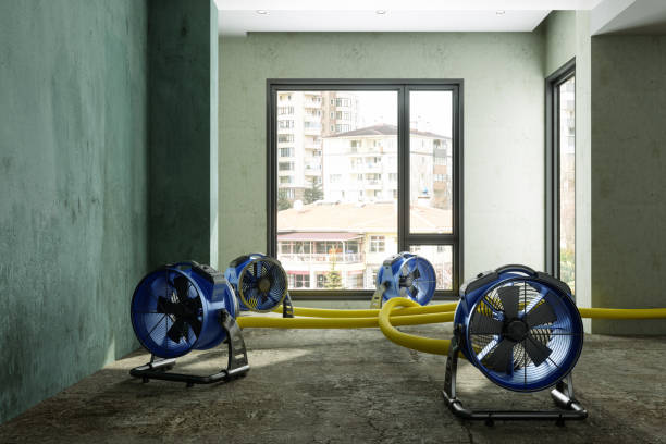 Best Flood damage cleanup  in Cle Elum, WA